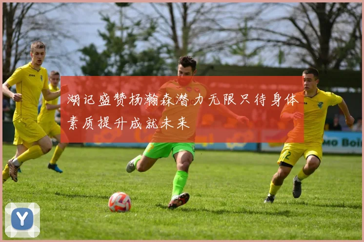 湖记盛赞杨瀚森潜力无限只待身体素质提升成就未来