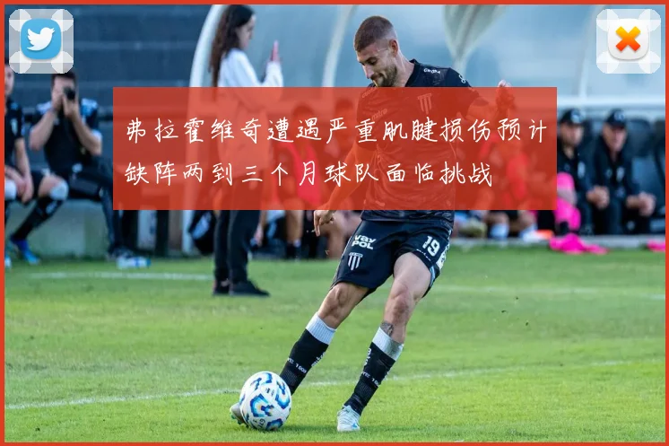 弗拉霍维奇遭遇严重肌腱损伤预计缺阵两到三个月球队面临挑战