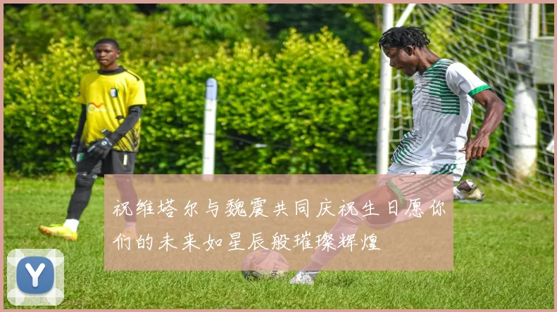 祝维塔尔与魏震共同庆祝生日愿你们的未来如星辰般璀璨辉煌