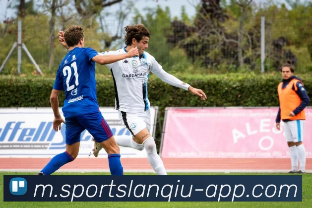 篮球赌注平台生态图